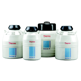biocane 34 cryogenic vessel, holds 630 vials (based on 20 per cane)