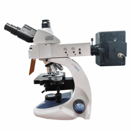 velab ve-146yt trinocular epifluorescence microscope