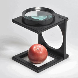 giant folding magnifier, 6x
