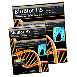 blublot hs autoradiography film, 8 x 10 in. (c062b-031513)