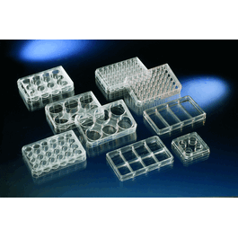 nunc 24-well cell-culture treated multidishes with lid, round wells, 1.9 cm2, 128 x 86 mm, sterile