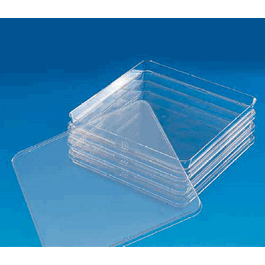 standard height bioassay dish 225 ml, 245 x 245 x 25 mm, 500 cm2
