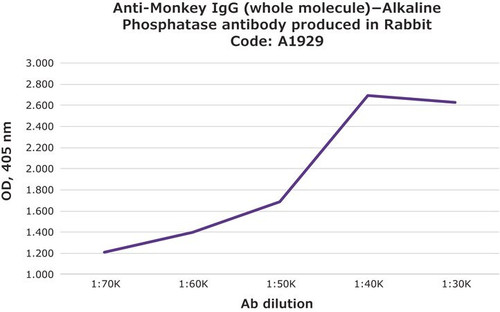 anti-monkey igg (whole molecule)-alkaline phosphatase antibody produced in rabbit (c15-1314-914)