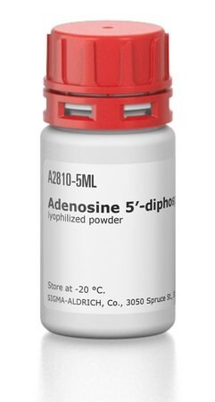 adenosine 5'-diphosphate-agarose (c15-1315-012)