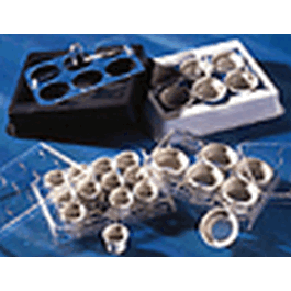 24 mm netwell insert with 74 um mesh size polyester membrane, sterile