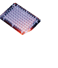 hts transwell-96 well permeable supports, polycarbonate membrane, sterile, 0.4 um (c062b-045230)