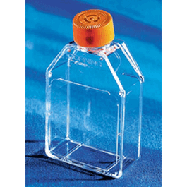 cellbind 25cm2 rectangular canted neck cell culture flask with vent cap