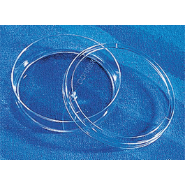 cellbind surface 35 mm culture dish