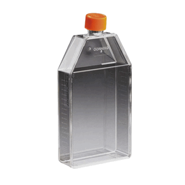 150 cm2 untreated rectangular canted neck cell culture flask with vent cap