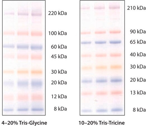 colorburst(tm) electrophoresis marker (c15-1315-420)