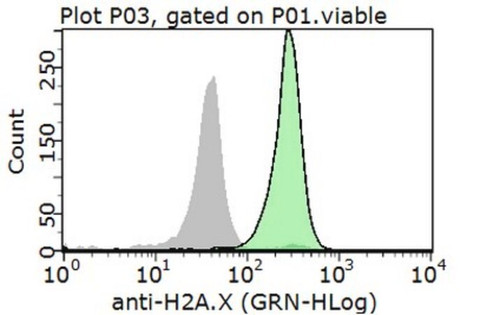 anti-histone h2a.x antibody (c15-1315-622)
