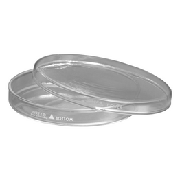pyrex petri dishes, complete, 100 x 10 mm (c062b-047479)