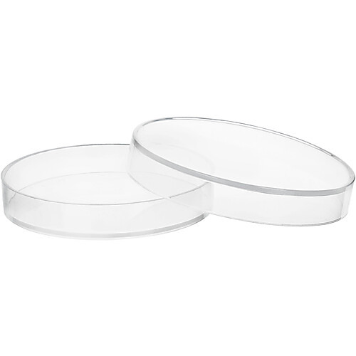 petri dishes with lids, pp plastic, 125mm dia., pk6
