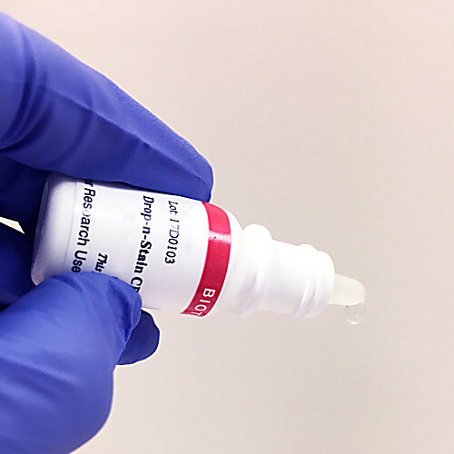 drop-n-stain„¢ cf488a goat anti-mouse igg (h+l), highly cross-adsorbed 5ml