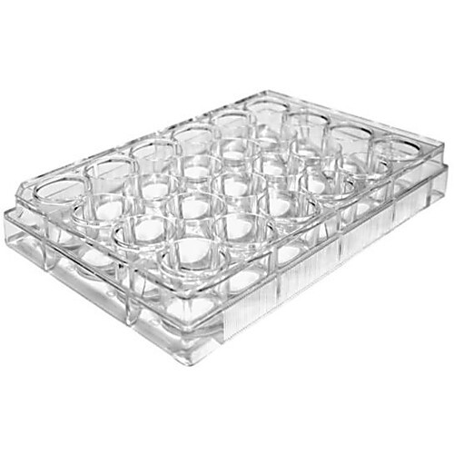 vitroprime„¢ spread-attach plate, 12-well,  sterile, treated surface, 50 pack/case