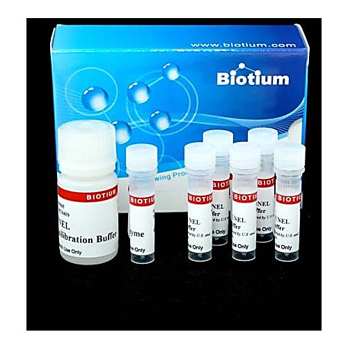 cf594 tunel assay apoptosis detection kit, 50 reactions