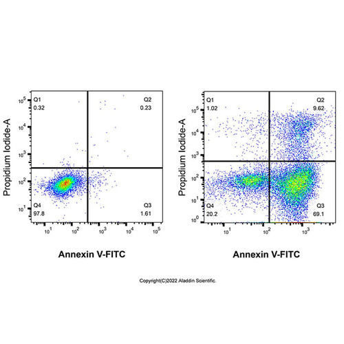 annexin v-fitc/pi apoptosis detection kit (c007b-601171)