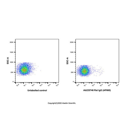 rat igg (af660) (c007b-601824)