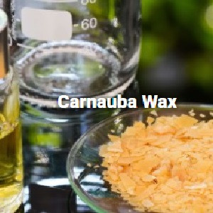 carnauba wax (c007b-602195)