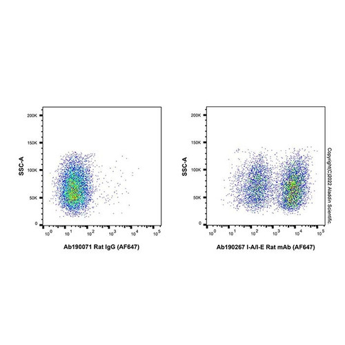 rat igg (af647) (c007b-553330)