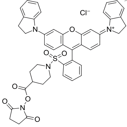 qsy 21 nhs (c007b-568268)