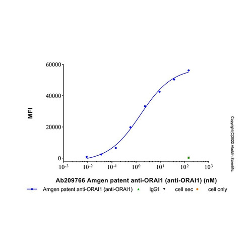 amgen patent anti-orai1 (anti-orai1) (c007b-575106)