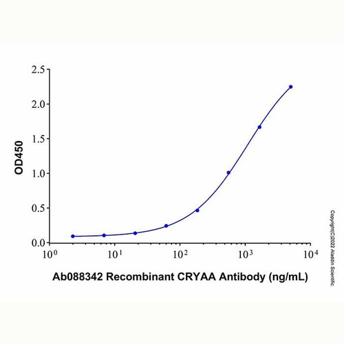 recombinant human alpha a crystallin/cryaa protein (c007b-587492)
