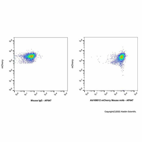 mcherry mouse mab (c007b-591047)