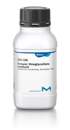 brewer thioglycollate medium