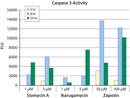 caspase 3 assay kit, fluorimetric
