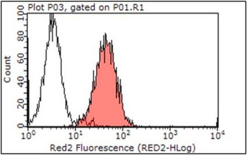 anti-mouse integrin alphav antibody, clone rmv-7 (preservative free)