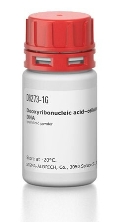 deoxyribonucleic acid-cellulose single-stranded from calf thymus dna (c15-1355-905)