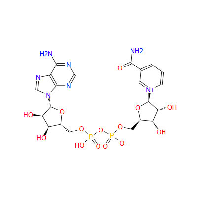 β-nicotinamide adenine dinucleotide(nad) (c007b-606124)