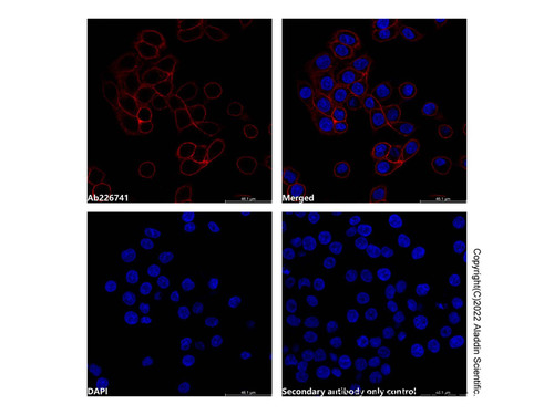 mouse anti-human igg (af647) (c007b-609852)