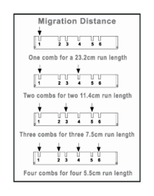 horizontal comb prep format c02 0111 686