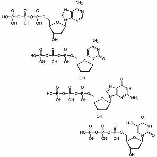 Deoxynucleotide Mix [25mM], 10mL