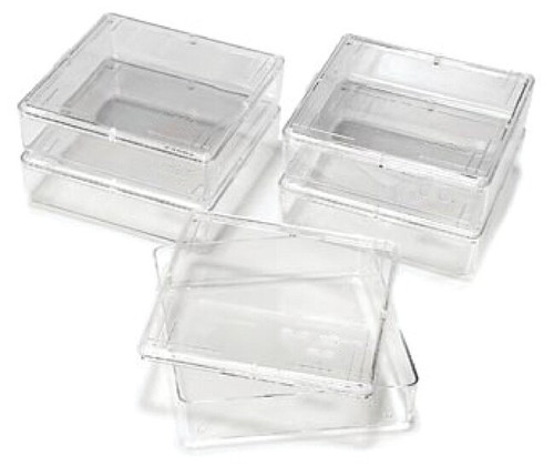 staining trays small 5 pk