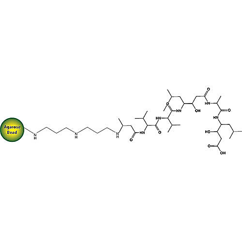 Immobilized Pepstatin, 5mL resin