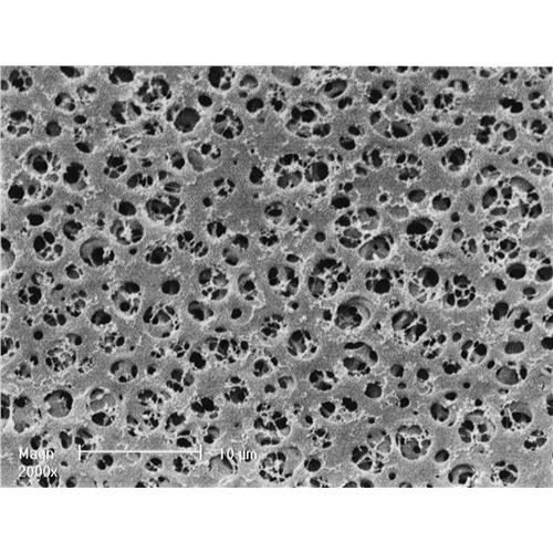CA Membrane; 1.2m; 25mm; 100pc