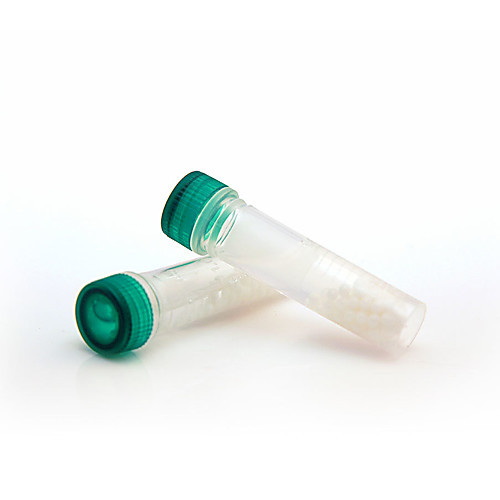 DNA/RNA Shield Lysis Tube (Tissue)