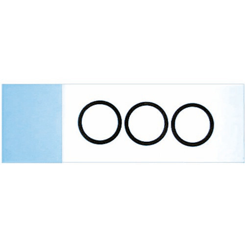 Fluorescent Antibody Microscope Slide