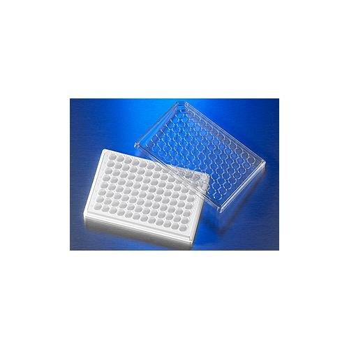 HTS Transwell, 96 Well, HTS Receiver, White, Tissue Culture Treated, Sterile