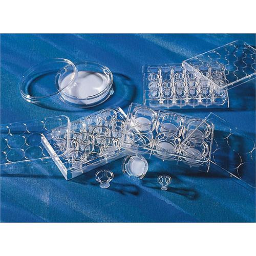 Costar Transwell Cell Culture Inserts, TC Treated, PET Membrane, 6.5 mm, 8.0 m, Sterile (C003B-521695)