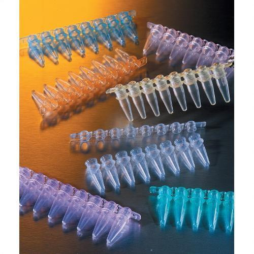 Thermowell GOLD PCR 1 x 8 Cap Strips, Domed, Clear