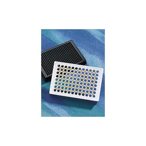 384 Well Clear Flat Bottom Poly-D-Lysine Coated Microplate, with Lid, Aseptically Manufactured