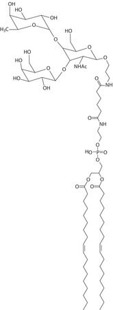fsl-lea(tri)