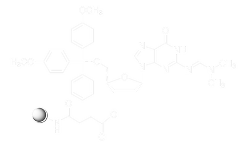 dmt-dg(dmf)-cpg (c15-1425-631)