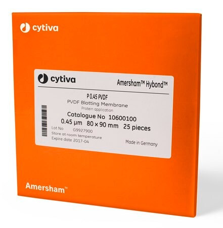 amersham(tm) hybond(r) lfp western blotting membrane sandwich, pvdf