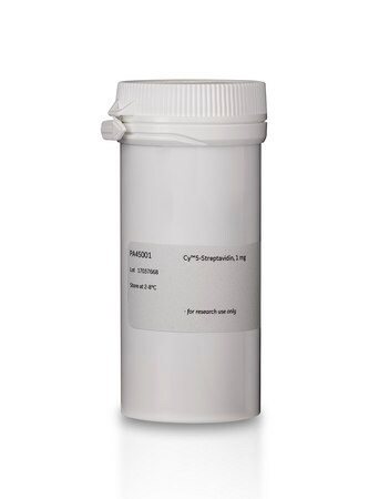 cy(r)3-streptavidin