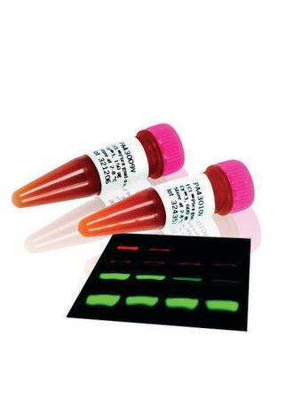 ecl plex(tm) g-a-r igg, cy(r)5